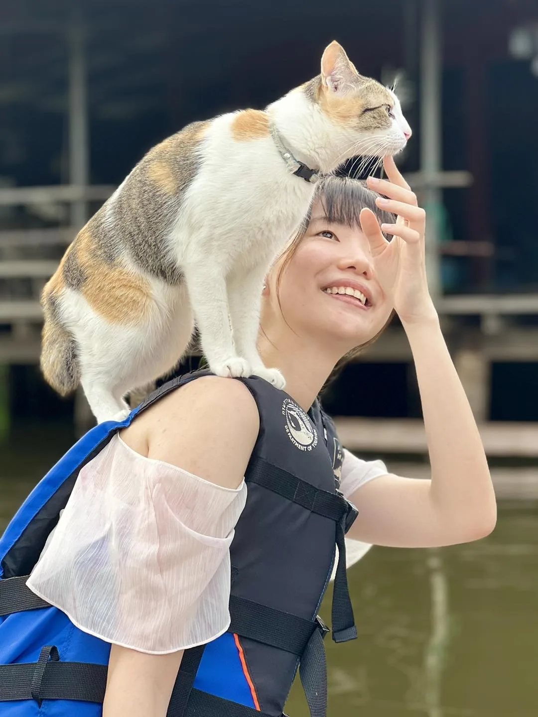 ทาสแมวถูกใจสิ่งนี้! "สี่แยกหัวตะเข้คาเฟ่ แอนด์เกสต์เฮ้าส์" เปิดให้นักท่องเที่ยวนั่งเรือชมวิวกับแมวแบบเป็นส่วนตัว จนดังไกลถึงต่างแดน!