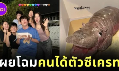 "ร้านเวทย์มนต์" รู้ตัวคนได้ "เค้กหมูเด้ง" หลุด QC หน้าตาเหมือนจระเข้แล้ว ที่แท้คือ "อาเล็ก ธีรเดช"