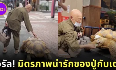 BonChan Walk by Grandpa side