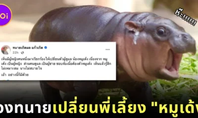 Files Lawyer to Change Moo Deng Nanny