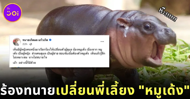 Files Lawyer to Change Moo Deng Nanny