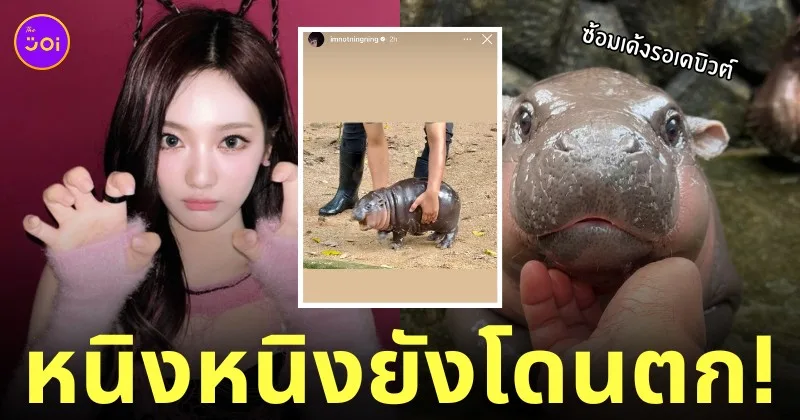 หนิงหนิง aespa ลงรูปหมูเด้ง ฮิปโป