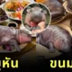 เผย 10 เมนูอร่อยที่เห็นแล้วนึกถึง "หมูเด้ง" ฮิปโปแคระตัวตึงแห่งสวนสัตว์เปิดเขาเขียวทุกที!