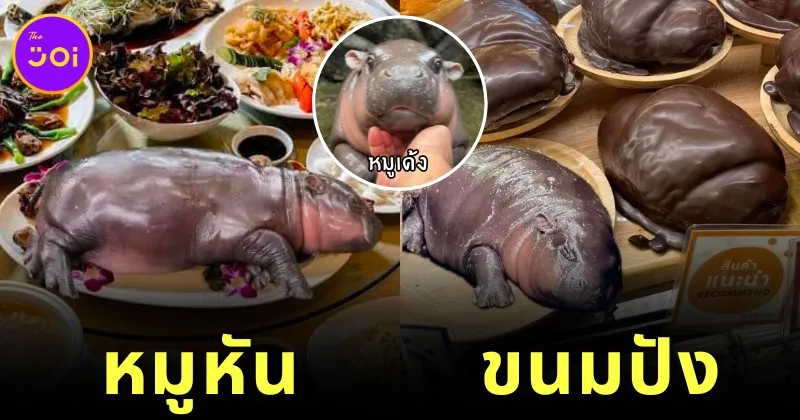 เผย 10 เมนูอร่อยที่เห็นแล้วนึกถึง "หมูเด้ง" ฮิปโปแคระตัวตึงแห่งสวนสัตว์เปิดเขาเขียวทุกที!