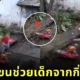 Golden retriever helps jid from falling tree stick