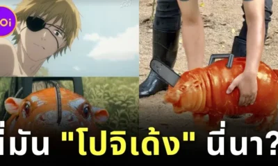 ก็ว่าดูคุ้น ๆ แฟนการ์ตูนญี่ปุ่นมอง "หมูเด้ง" ไม่ใช่ฮิปโปแคระ แต่คือ "โปจิตะ Chainsaw Man" ที่มีชีวิตอยู่ในโลกแห่งความเป็นจริง!