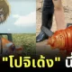 ก็ว่าดูคุ้น ๆ แฟนการ์ตูนญี่ปุ่นมอง "หมูเด้ง" ไม่ใช่ฮิปโปแคระ แต่คือ "โปจิตะ Chainsaw Man" ที่มีชีวิตอยู่ในโลกแห่งความเป็นจริง!