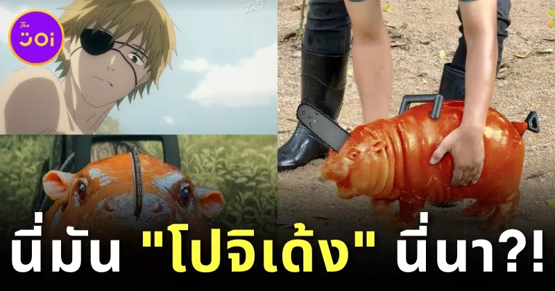 ก็ว่าดูคุ้น ๆ แฟนการ์ตูนญี่ปุ่นมอง "หมูเด้ง" ไม่ใช่ฮิปโปแคระ แต่คือ "โปจิตะ Chainsaw Man" ที่มีชีวิตอยู่ในโลกแห่งความเป็นจริง!