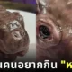 Mhoodeng hippo cake 1