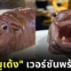 มาอีกแบบ! "ร้านเวทย์มนต์" เผยโฉม "เค้กหมูเด้ง" เวอร์ชันพร้อมสวบ ที่ดูเกรี้ยวกราดถูกใจเอฟซี