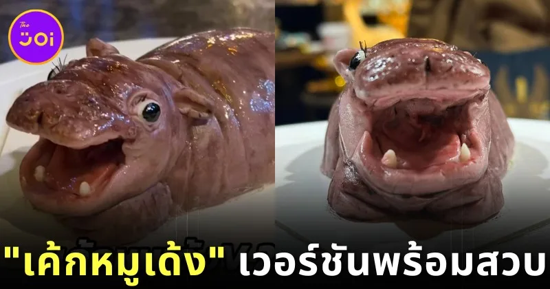 มาอีกแบบ! "ร้านเวทย์มนต์" เผยโฉม "เค้กหมูเด้ง" เวอร์ชันพร้อมสวบ ที่ดูเกรี้ยวกราดถูกใจเอฟซี