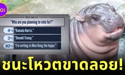 รายการ "The Tonight Show Starring Jimmy Fallon" เผยโพลเลือกตั้งผู้นำสหรัฐฯ "หมูเด้ง" ชนะ "โดนัลด์ ทรัมป์-กมลา แฮร์ริส" ขาดลอย!