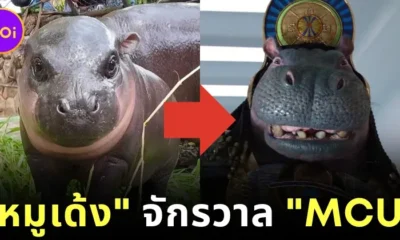 Moodeng in MCU universe
