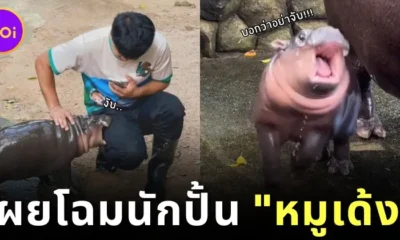 เปิดหน้าพี่เลี้ยง "หมูเด้ง" ตัวตึงแห่งสวนสัตว์เปิดเขาเขียว พร้อมความฝันที่ยิ่งใหญ่ที่ตอนนี้ไปไกลกว่าที่หวังแล้ว!