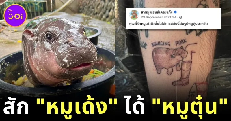 สักผิดชีวิตเปลี่ยน! หนุ่มต่างชาติลงทุนสักรูป "หมูเด้ง" ลูกฮิปโปแคระที่ตัวเองชื่นชอบมาก แต่ภาพที่ออกมาคือ "หมูตุ๋น"