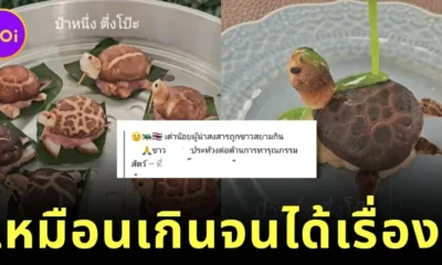 ทำถึงเกิ๊น! เพจดังทำเมนู "เห็ดหอมหมูเด้งรูปน้องเต่า" เหมือนตัวจริง จนถูกกล่าวหาว่าทำทารุณกรรมสัตว์?!