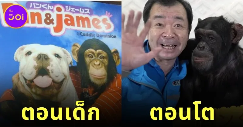 ส่องภาพปัจจุบัน "ปังคุง" ลิงน้อยจากรายการ "ขำกลิ้งลิงกับหมา" โตเป็นหนุ่มแล้ว และมีช่อง "YouTube" ของตัวเองด้วย!
