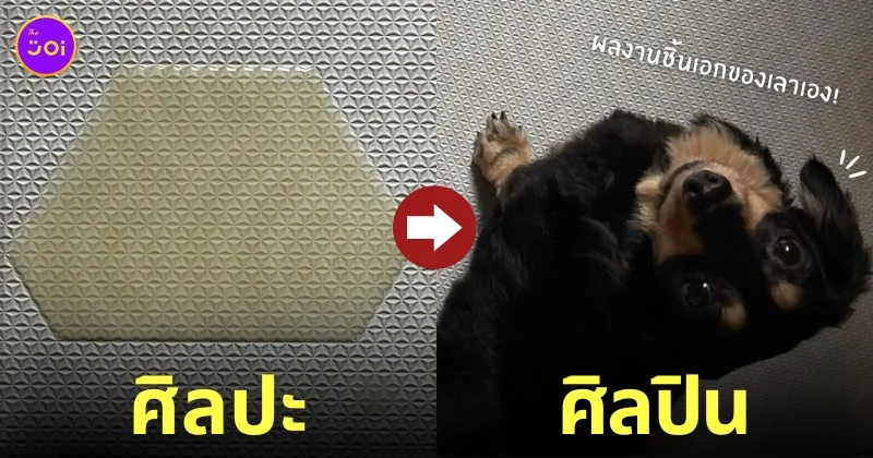 หมาดัชชุนฉี่ พรม อาร์ต รูปทรงหกเหลี่ยม TikTok