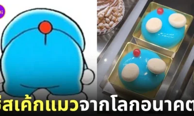 ชีสเค้กแมว เค้กโดราเอมอน