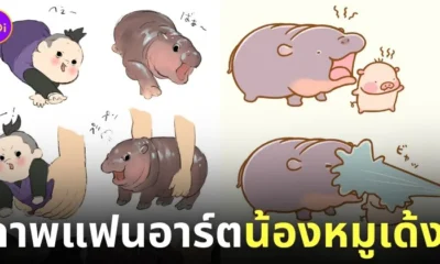 fanart หมูเด้ง ลูกฮิปโปแคระ สวนสัตว์เปิดเขาเขียว ดังในญี่ปุ่น