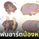 fanart หมูเด้ง ลูกฮิปโปแคระ สวนสัตว์เปิดเขาเขียว ดังในญี่ปุ่น