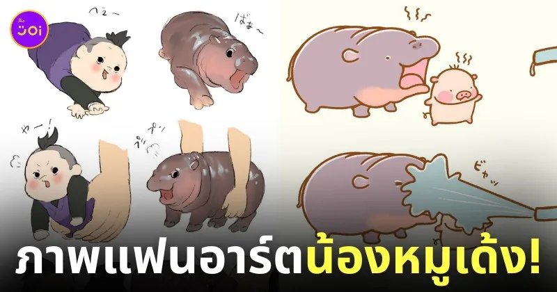 fanart หมูเด้ง ลูกฮิปโปแคระ สวนสัตว์เปิดเขาเขียว ดังในญี่ปุ่น