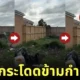 คลิปจิงโจ้กระโดดกำแพงสูง