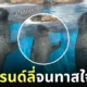 คลิปแมวน้ำโบกมือทักทายนุด sendai umino mori