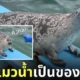 คลิปแมวน้ำยืดหดตัว