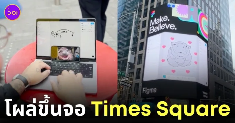 หมูเด้งขึ้นจอ LED times square นิวยอร์ก