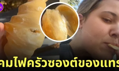 สั่งโคมไฟครัวซองต์ temu ได้ครัวซองต์จริง