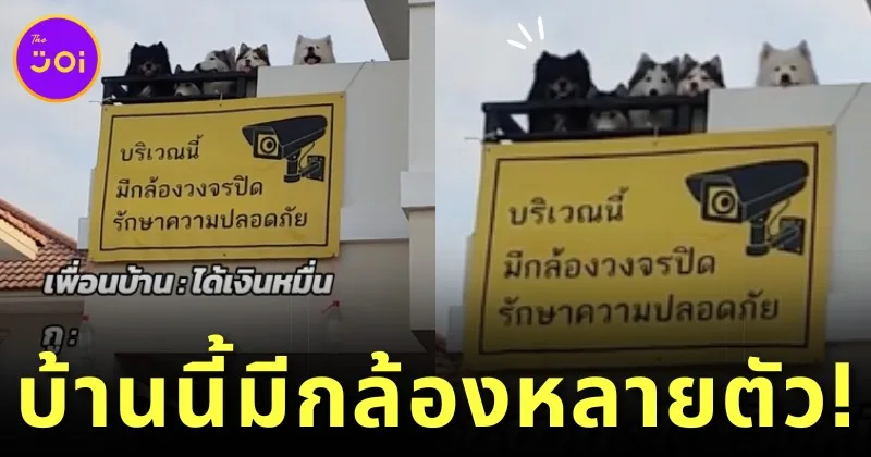 บ้านหลังหนึ่งกลายเป็นไวรัล! เพราะมีกล้องวงจรปิดรุ่นพิเศษหลายตัว เป็น "สุนัขไซบีเรียน ฮัสกี้"