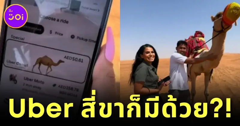 (มีคลิป) นักท่องเที่ยวสาวเจอรถเสียกลางทะเลทรายในดูไบ เลยเรียก "Uber" มารับ แต่แท็กซี่ที่ว่าไม่ได้มี 4 ล้อ แต่มี 4 ขา?!