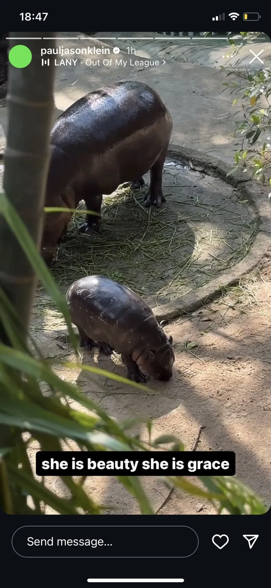 ศิลปินระดับโลกยังต้องมาหา! วง "LANY" เล่นคอนเสิร์ตจบ อีกวันแวะมาหา "หมูเด้ง" ทันที จน "พี่เบนซ์" แซว "เขาเปิดคอนเสิร์ต เพื่อเอาเงินมาซื้อบัตรชมหมูเด้ง"