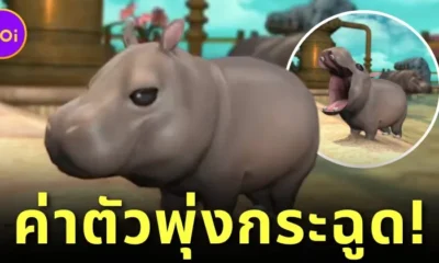 แฟนเกม "Final Fantasy 14" ถูกความน่ารักของ "หมูเด้ง" ตกหัวใจ จนค่าตัวน้องพุ่งจนเกินควบคุม!