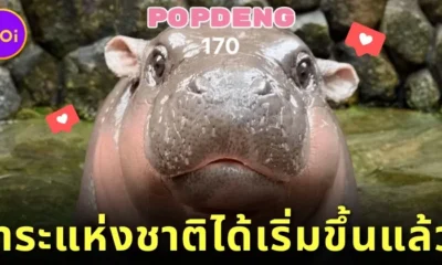 วาระแห่งชาติได้เริ่มขึ้นแล้ว! ชาวไทยรวมพลังจิ้ม "POPDENG" เกมคลิก "หมูเด้ง" จน "ไทย" ผงาดขึ้นอันดับ 1 ของโลก!