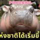 วาระแห่งชาติได้เริ่มขึ้นแล้ว! ชาวไทยรวมพลังจิ้ม "POPDENG" เกมคลิก "หมูเด้ง" จน "ไทย" ผงาดขึ้นอันดับ 1 ของโลก!