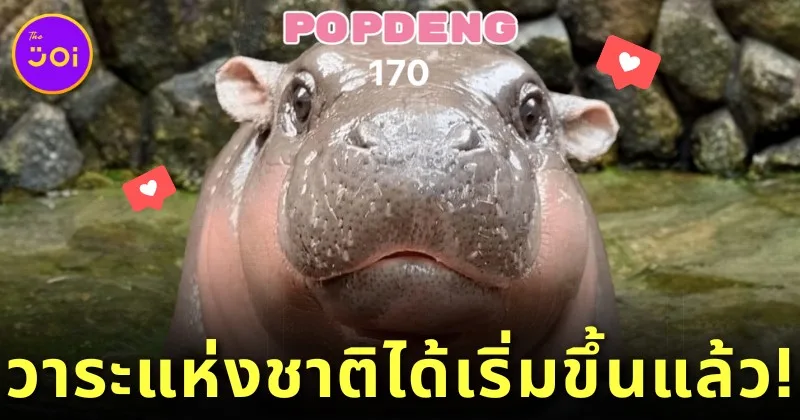 วาระแห่งชาติได้เริ่มขึ้นแล้ว! ชาวไทยรวมพลังจิ้ม "POPDENG" เกมคลิก "หมูเด้ง" จน "ไทย" ผงาดขึ้นอันดับ 1 ของโลก!