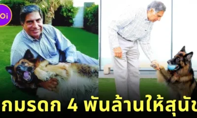 "Ratan Tata" มหาเศรษฐีอินเดียยกมรดก 4 พันล้านบาท ให้สุนัขตัวโปรด