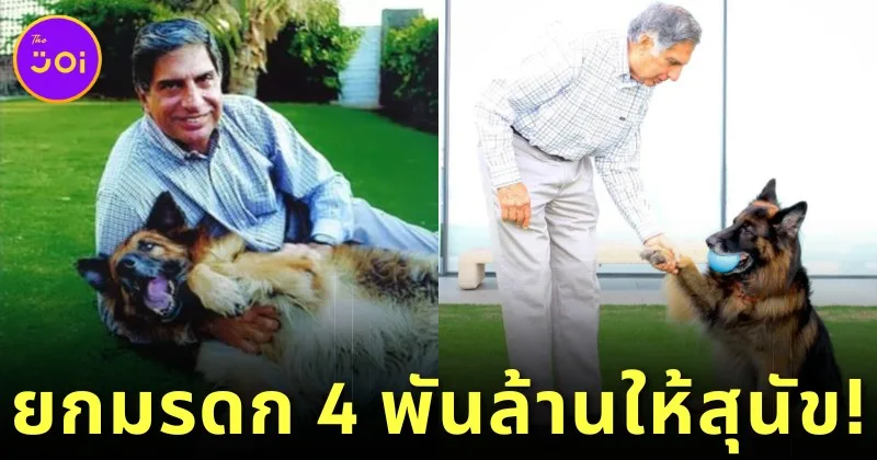 "Ratan Tata" มหาเศรษฐีอินเดียยกมรดก 4 พันล้านบาท ให้สุนัขตัวโปรด