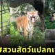 SuanSatPraek Khao Keaw