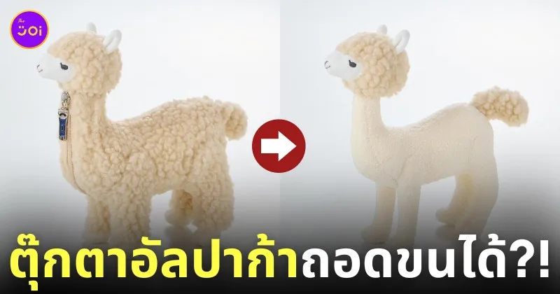 ตุ๊กตาอัลปาก้า felissimo