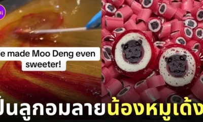 ลูกอม หมูเด้ง ฮิปโปแคระ sticky