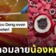 ลูกอม หมูเด้ง ฮิปโปแคระ sticky