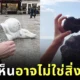 พาส่อง 30 ภาพลวงตาสุดเจ๋งของช่างภาพหนุ่มขี้เล่นชาวโปรตุเกส "ติอาโก ซิลวา (Tiago Silva)"