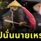 อาโปนั่นนายเหรอ?! หนุ่มต่างชาติแต่งตัวเป็น "นักรบมังกร" จาก "กังฟูแพนด้า" ออกมาเหมือนมากจนกลายเป็นไวรัลกว่า 44 ล้านวิว!