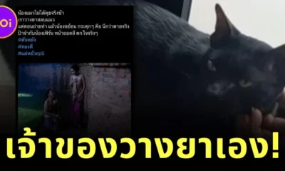 สรุป! คนวางยาสลบแมวในเรื่อง "แม่หยัว" ไม่ใช่สัตวแพทย์ แต่คือเจ้าของแท้ ๆ ด้านปศุสัตว์เตรียมเอาผิดทารุณกรรมสัตว์