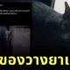 สรุป! คนวางยาสลบแมวในเรื่อง "แม่หยัว" ไม่ใช่สัตวแพทย์ แต่คือเจ้าของแท้ ๆ ด้านปศุสัตว์เตรียมเอาผิดทารุณกรรมสัตว์