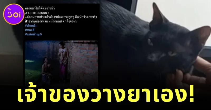 สรุป! คนวางยาสลบแมวในเรื่อง "แม่หยัว" ไม่ใช่สัตวแพทย์ แต่คือเจ้าของแท้ ๆ ด้านปศุสัตว์เตรียมเอาผิดทารุณกรรมสัตว์