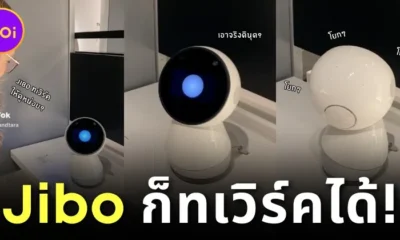 Jibo robot show twerk